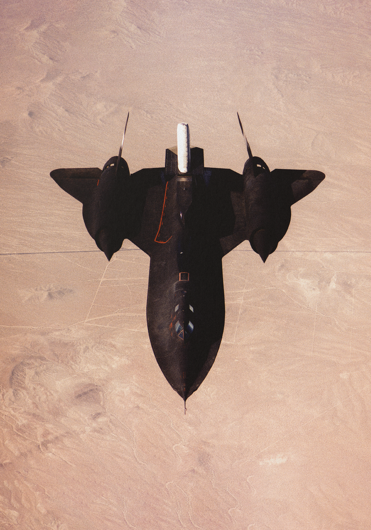 Blackbird 3