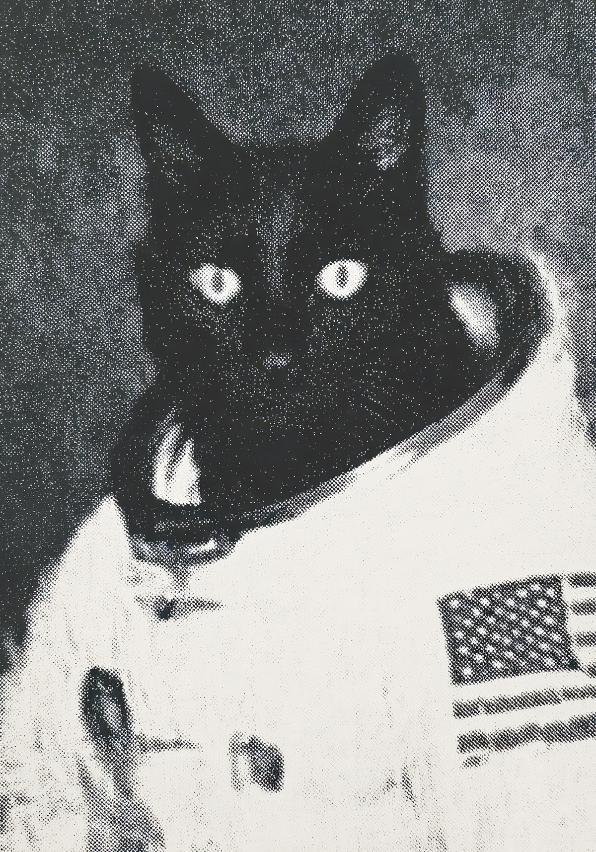 Cat Astronaut