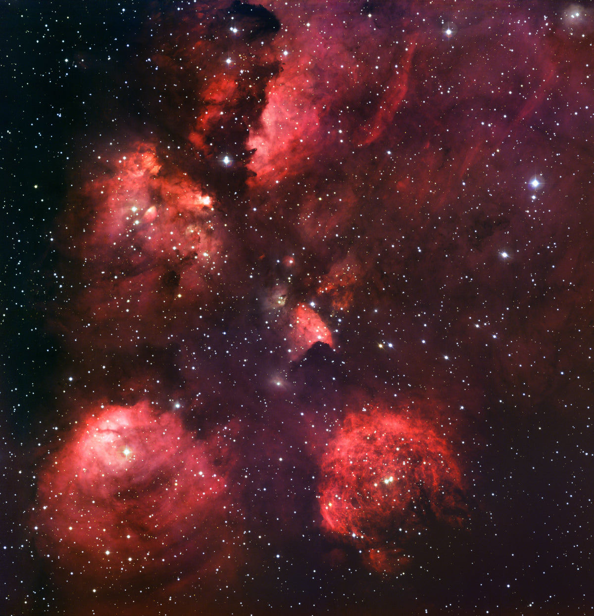 Cats Paw Nebula