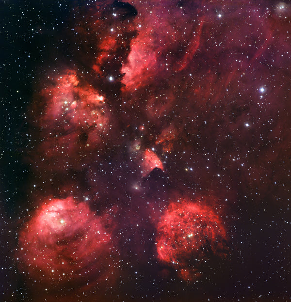 Cats Paw Nebula