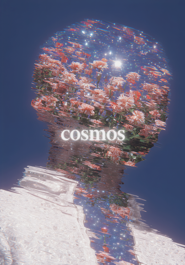 Cosmos