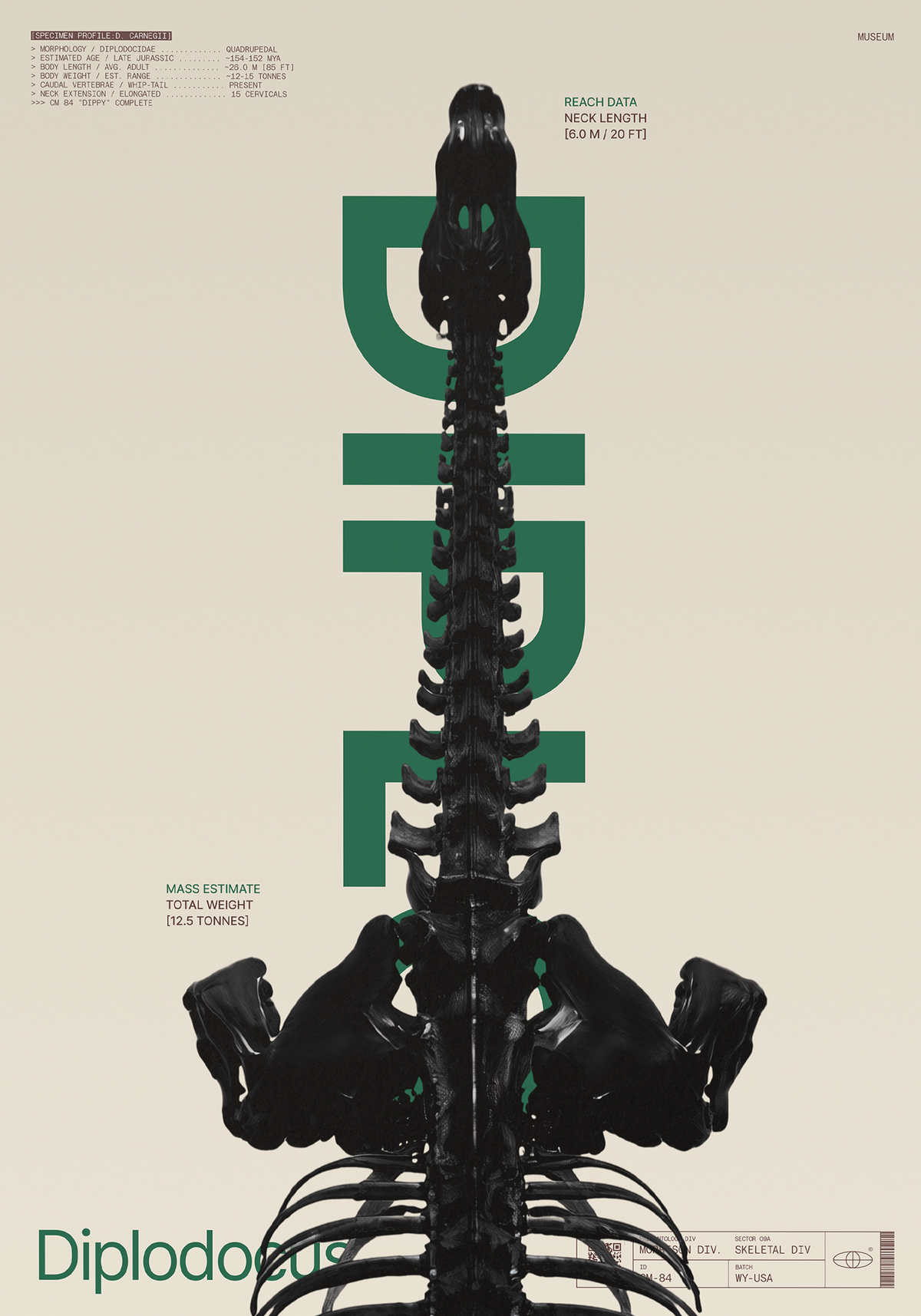 Diplodocus Beige