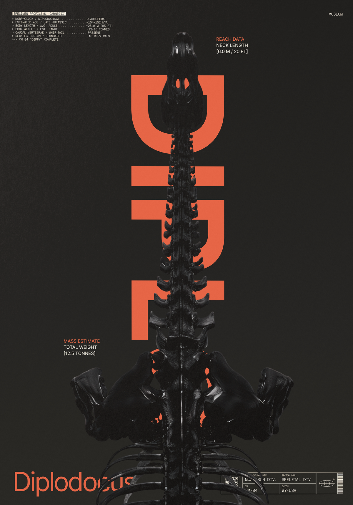 Diplodocus Black