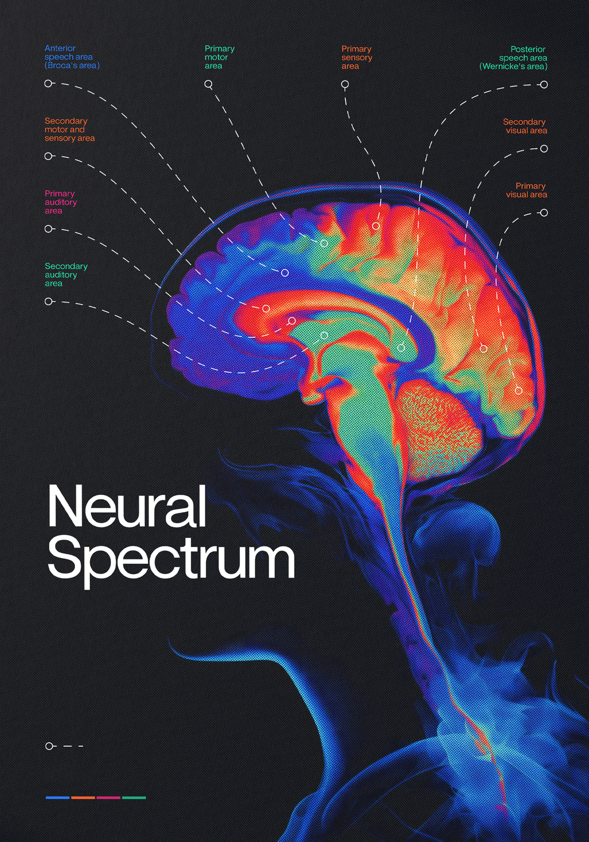 Neural Spectrum