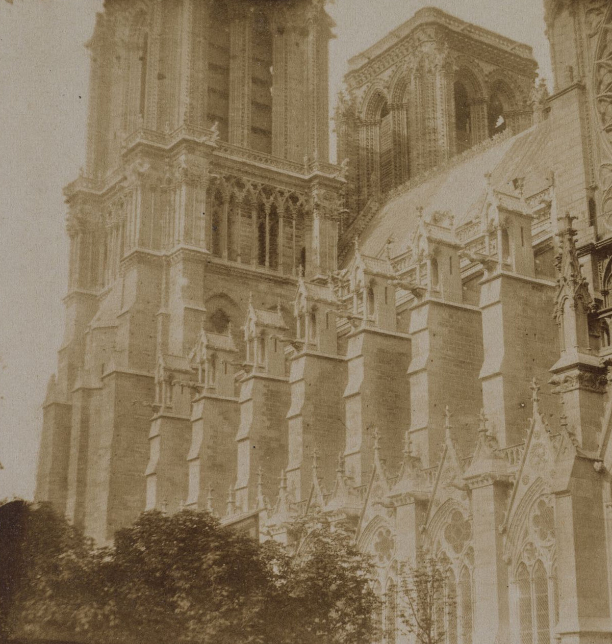 Notre-Dame Seine