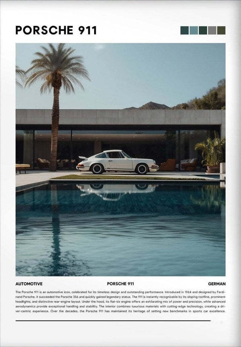 Porsche 911 Pool