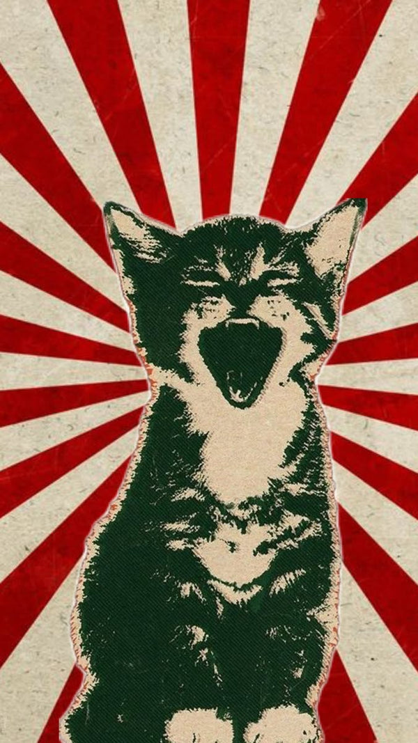Rising Sun Cat