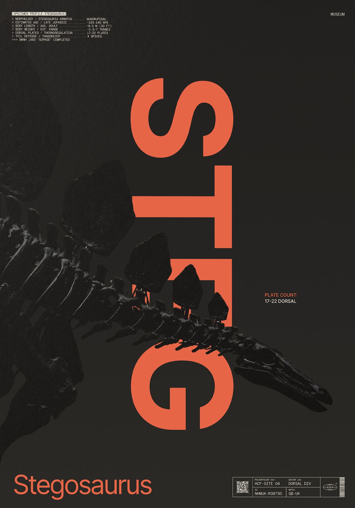 Stegosaurus Black
