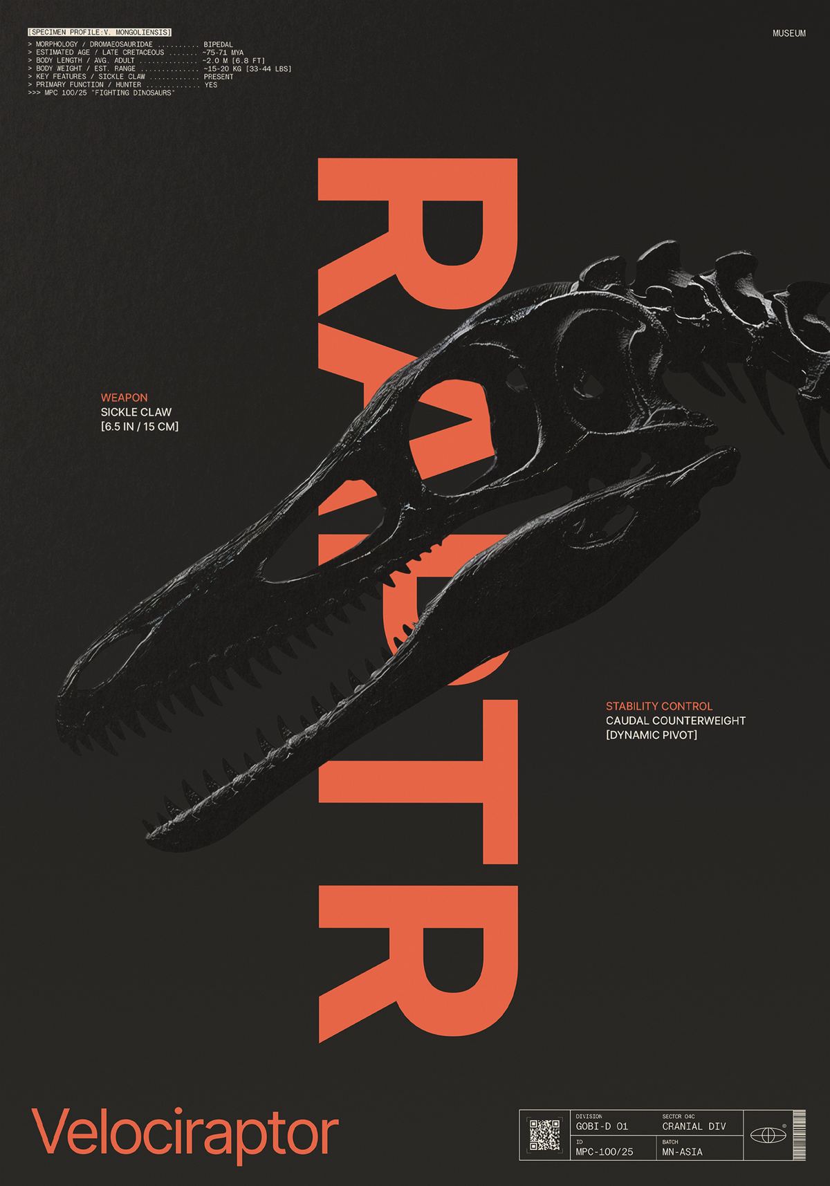 Velociraptor Black