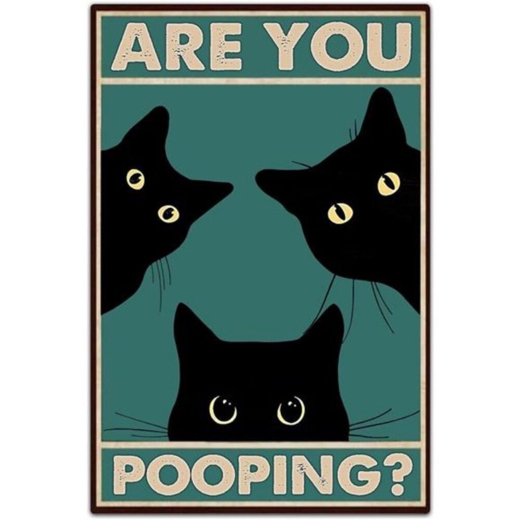 Are you pooping