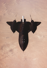 Blackbird 3 thumbnail 1