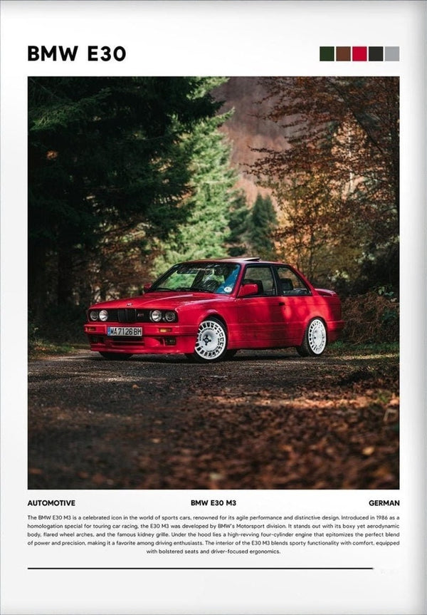 BMW E30