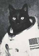 Cat Astronaut thumbnail 1