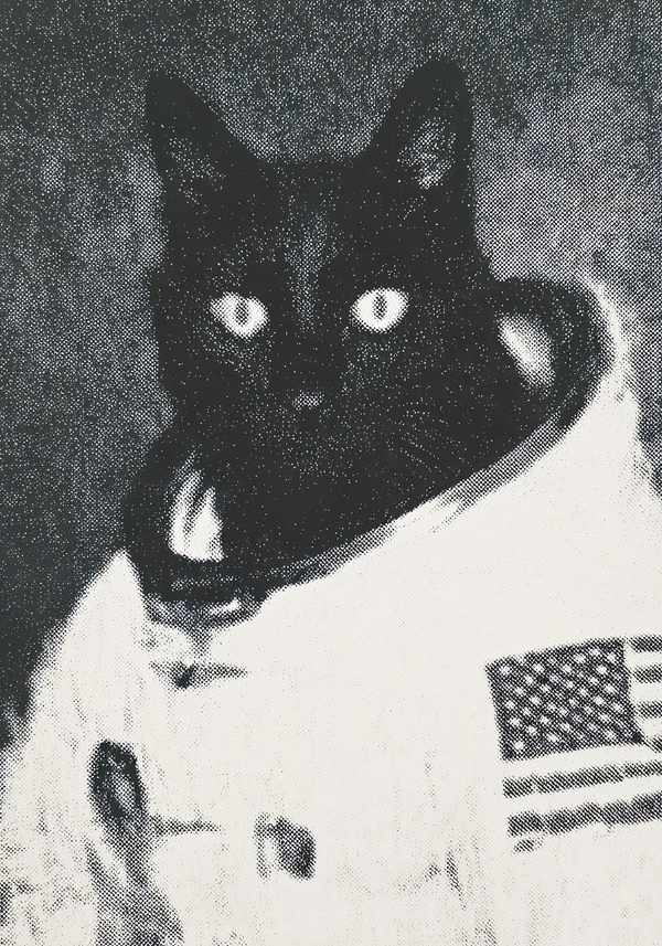 Cat Astronaut
