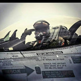 Cockpit Salute thumbnail 1