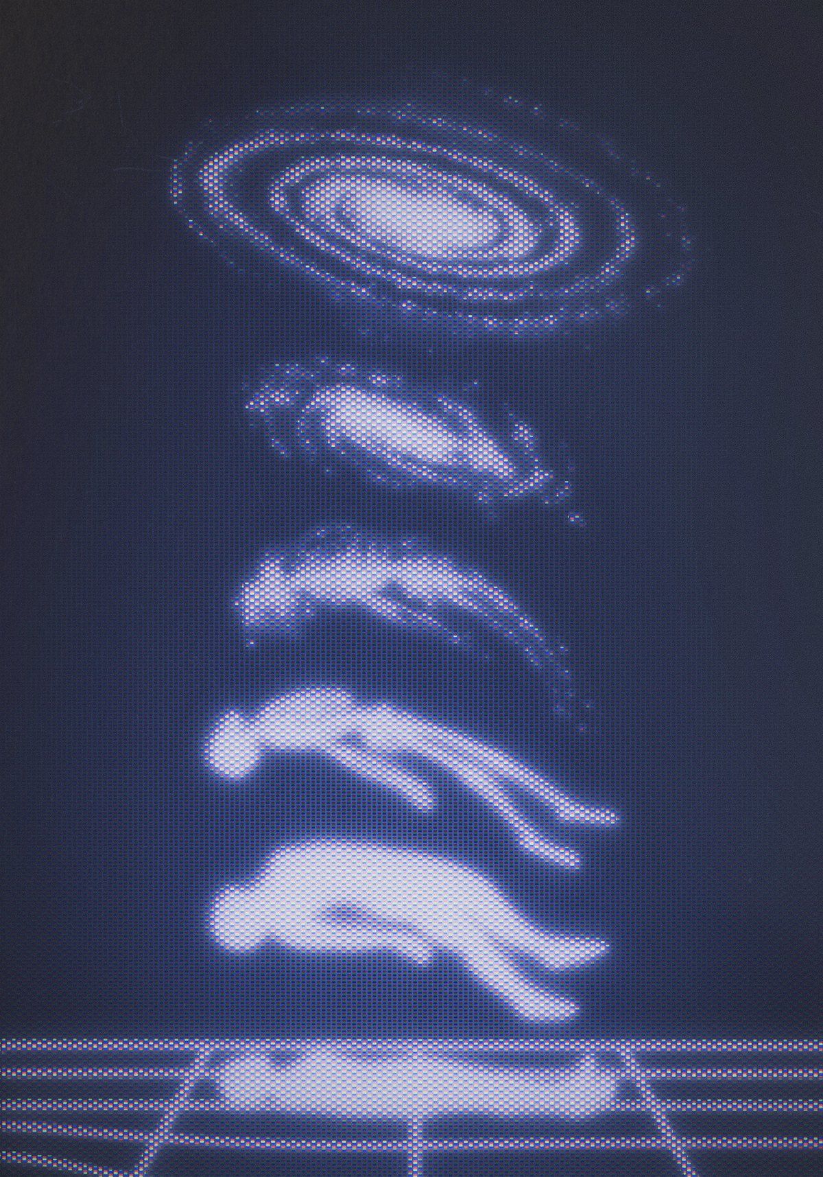 Evolution