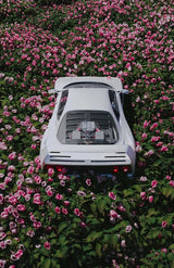 Ferrari in Bloom thumbnail 1