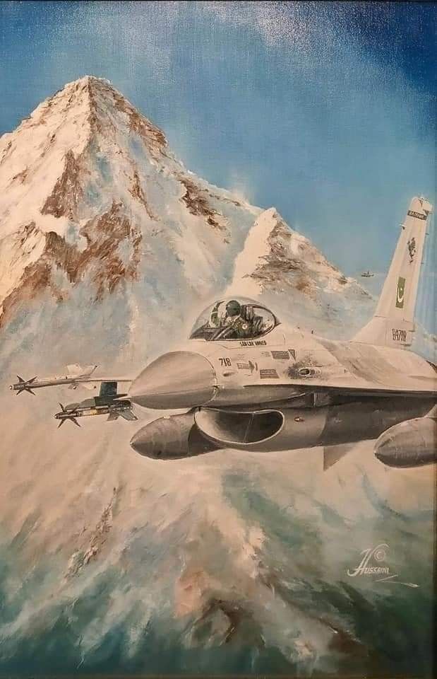 Mountain Falcon