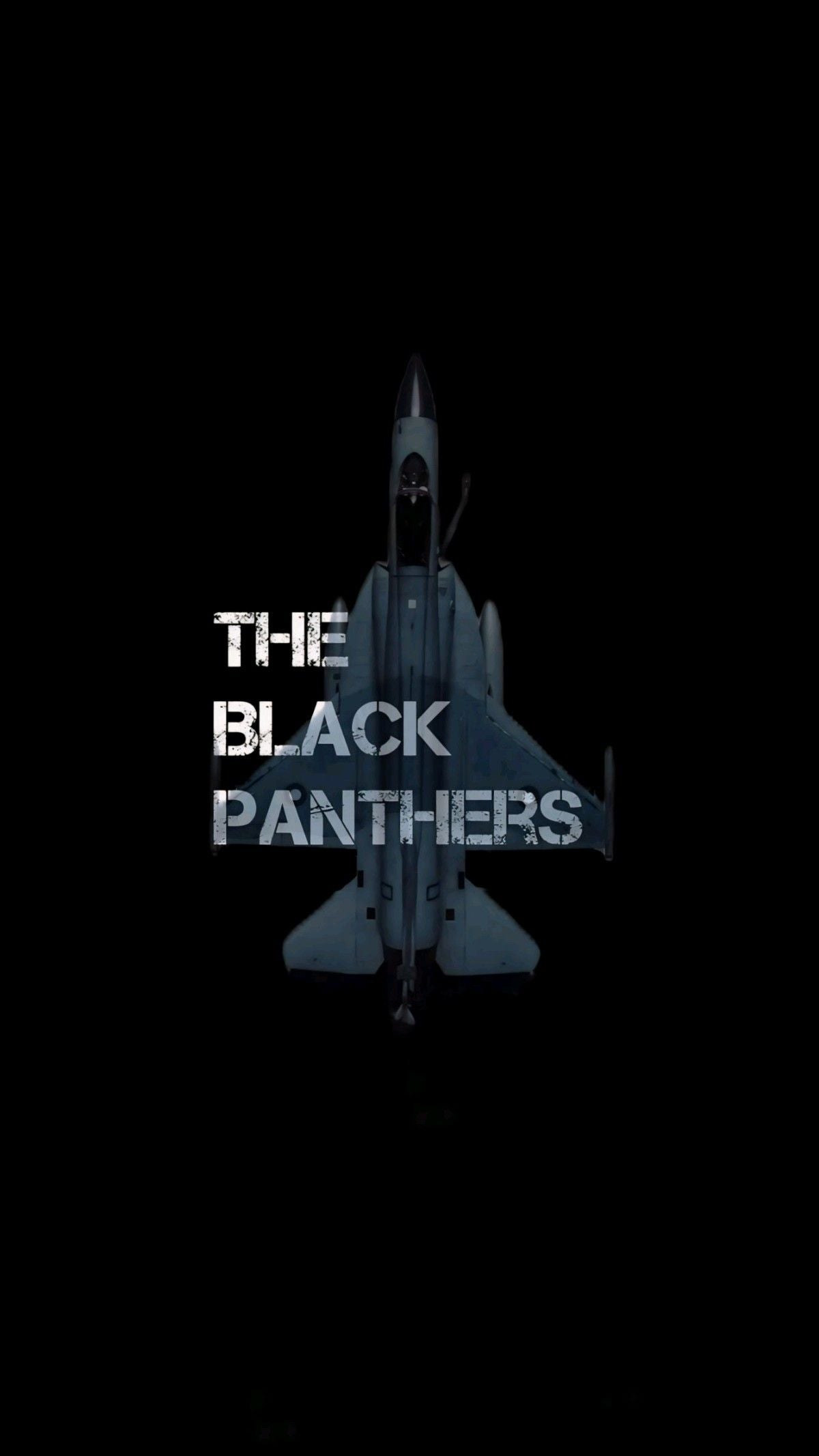 The Black Panthers