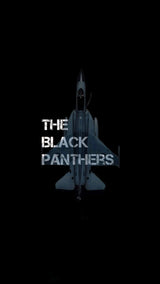 The Black Panthers thumbnail 1