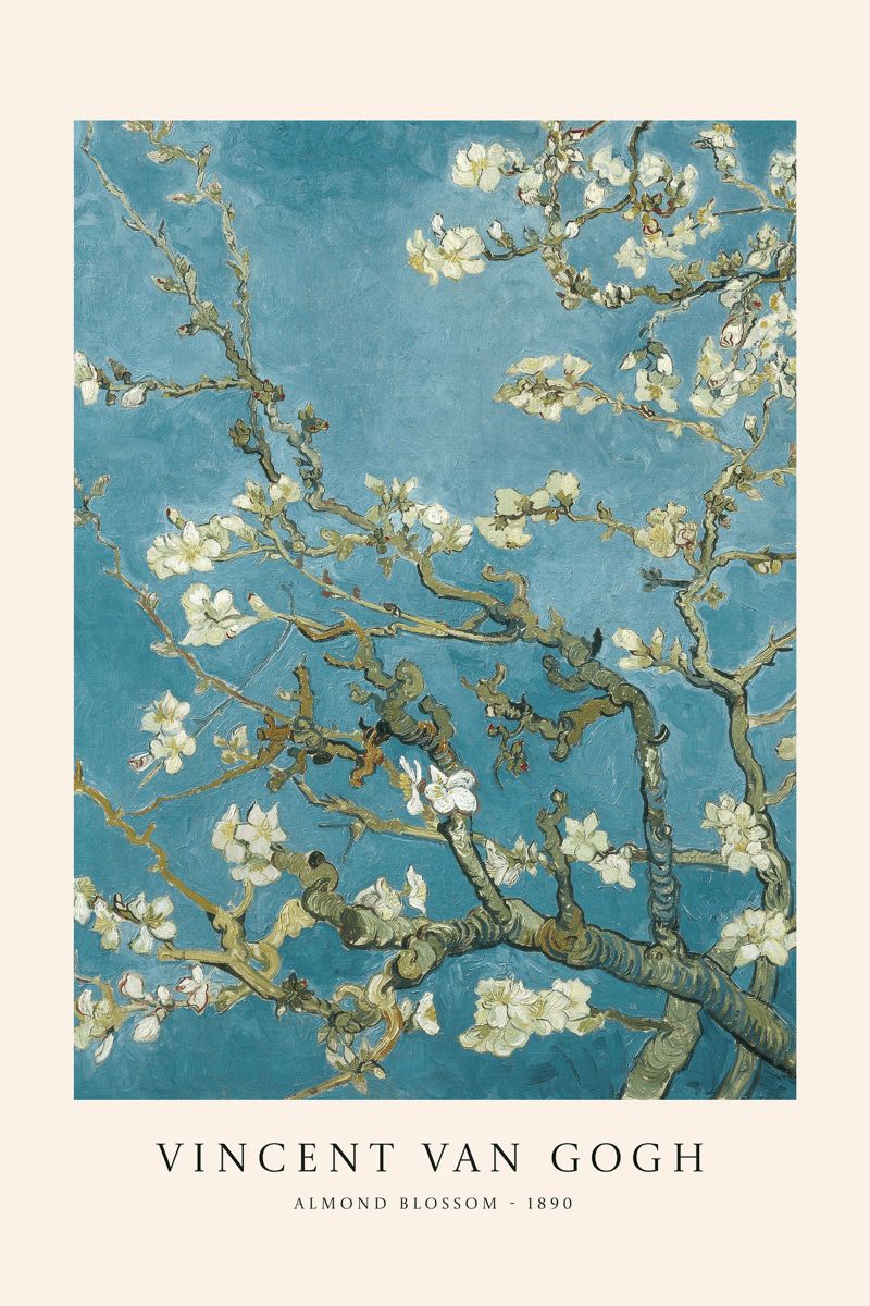 Almond Blossom