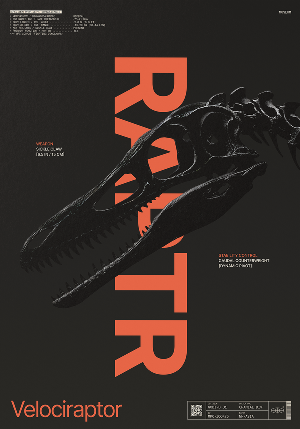 Velociraptor Black